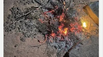 إشعال النار بمحمية الإمام فيصل بن تركي يوقع مواطناً في قبضة الأمن